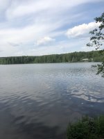 IMG_4202.jpeg