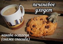 IMG_20250614_165525_388.jpg