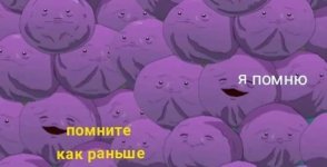 IMG_2686.jpeg