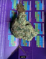 IMG_1960.jpeg
