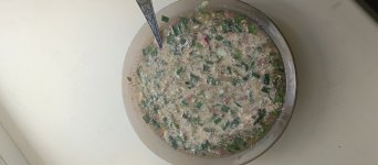 IMG_20250620_131049_649.jpg