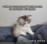 IMG_2990.jpeg
