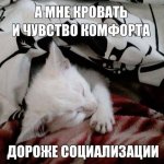 IMG_0406.jpeg