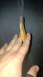 IMG_20250712_162832.jpg