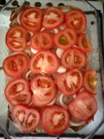 IMG_0882.png