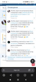 Screenshot_2025-07-14-14-55-32-744_com.yandex.browser.jpg