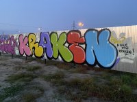 IMG_3345.jpeg