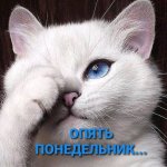 IMG-20250721-WA0009.jpg