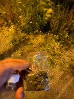 IMG_20250807_175039_988.jpg