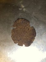 IMG_2445.jpeg
