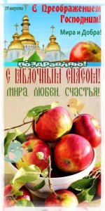 IMG-20250819-WA0006.jpg