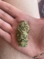 IMG_0874.jpeg