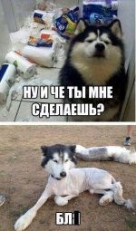 8d31030f23a3c2fd1a6edcc94bd02a85.jpg