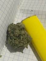 IMG_0883.jpeg