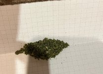 IMG_3876.jpeg