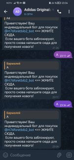 Screenshot_20250905_233410_org.telegram.messenger.jpg