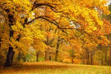 IMG_4392.jpeg