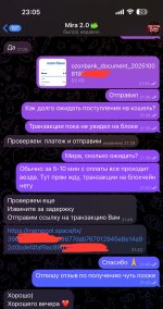 IMG_6238.jpeg