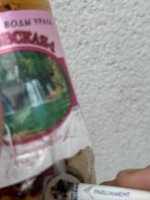 IMG_6260.jpeg
