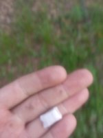 20250608_192955.jpg
