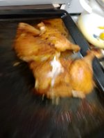 IMG_20251023_180906_322.jpg