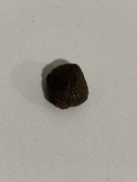 IMG_0043.jpeg