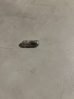 IMG_4280.jpeg