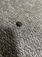 IMG_4298.jpeg