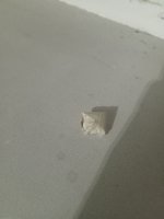 IMG_20251212_082650.jpg