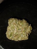 IMG_20251224_092210.jpg