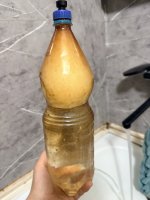 IMG_0740.jpeg