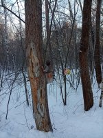 IMG_20260109_102302.jpg