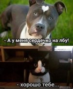 IMG_20260111_032147_875.jpg