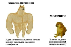 IMG_0808.png