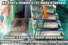 IMG_0810.png