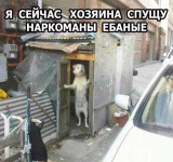 IMG_0811.png