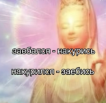 IMG_0812.png