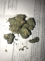 IMG_4629.jpeg
