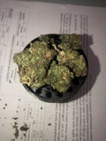 IMG_4632.jpeg