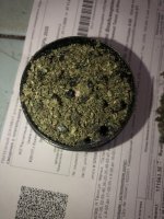 IMG_4633.jpeg