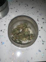 IMG_0849.jpeg