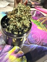 IMG_0896.jpeg