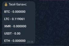 Screenshot_20260209_235333_org_telegram_messenger_LaunchActivity.jpg