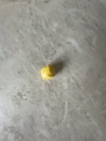 IMG_3228.jpeg