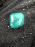 IMG_5590.jpeg