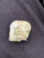 IMG_5591.jpeg