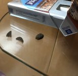 IMG_6084.jpeg