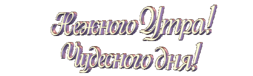 24RC.biz1767932533151.gif