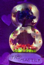 IMG_20260318_130752_328.jpg