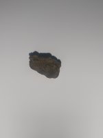 IMG_3719.jpeg